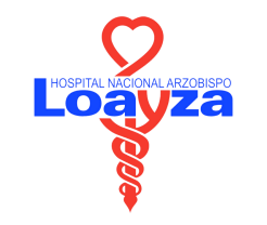 LOAYZA-2-e1684948615294-300x208